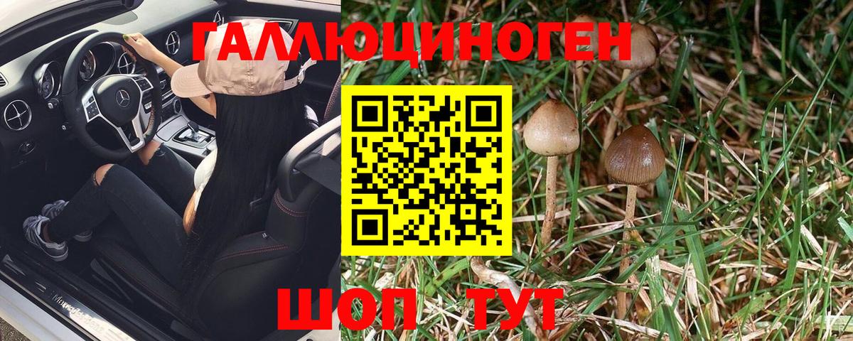 Галлюциногенные грибы Psilocybe  Вход с VPN  Лиски  где можно купить наркотик  Псилоцибиновые грибы Psilocybine cubensis 